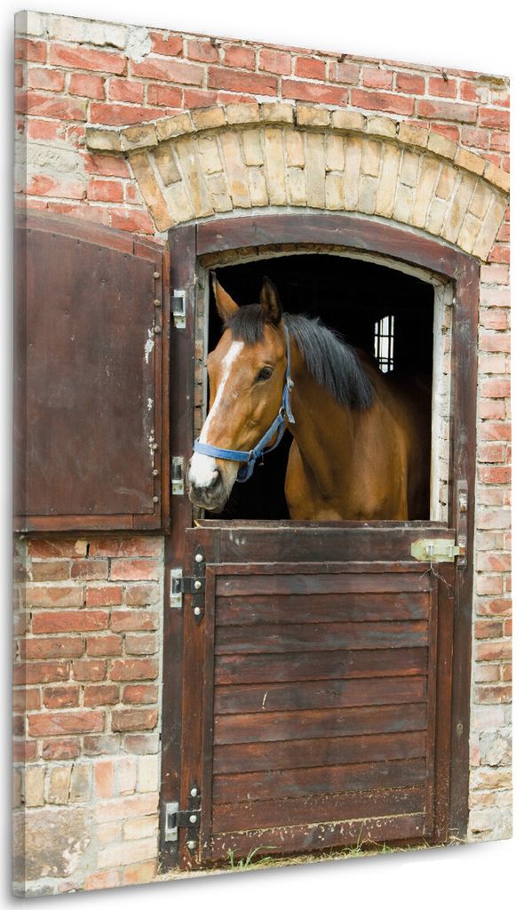 Wallario Premium Leinwandbild Pferd im Stall in Größe 60 x 90 cm