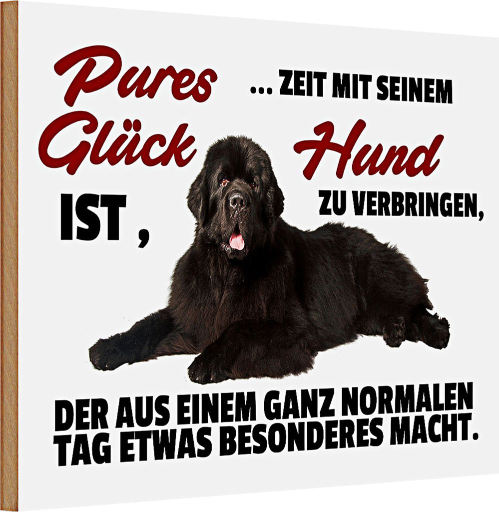 Holzschild Spruch 30x20cm pures Glück ist Zeit mit Hund