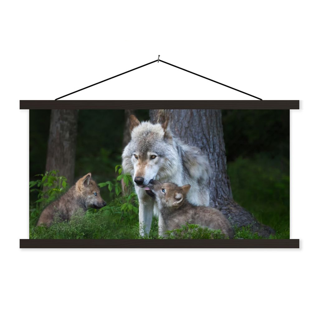 MuchoWow Textilposter Wolf - Moos - Wald - Welpe 90x45 cm mit schwarzem Rahmen - Klemmleisten