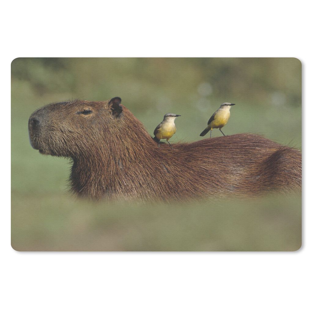 MuchoWow Mauspad Mousepad Zwei Vögel sitzen auf einem Capybara 27x18 cm - Mousepads - Maus Mat - Pad - Mausunterlage - Büroartikel - Desk Matten