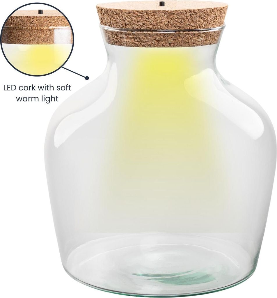 Flaschengarten Terrarienflasche aus recyceltem Glas mit LED-Korken Höhe 22cm