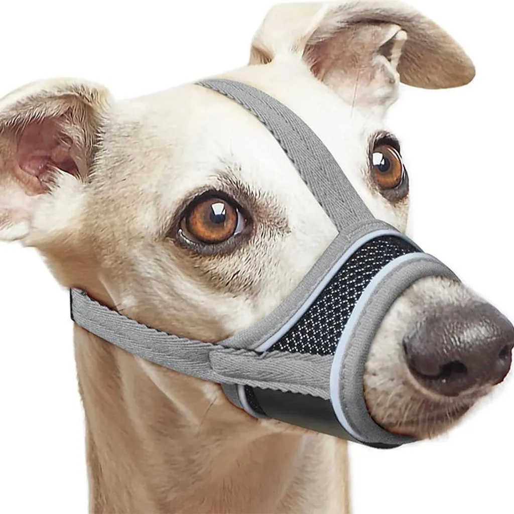 INF Museruola Riflettente per Cani - Rete Traspirante Regolabile in Nylon Morbido M
