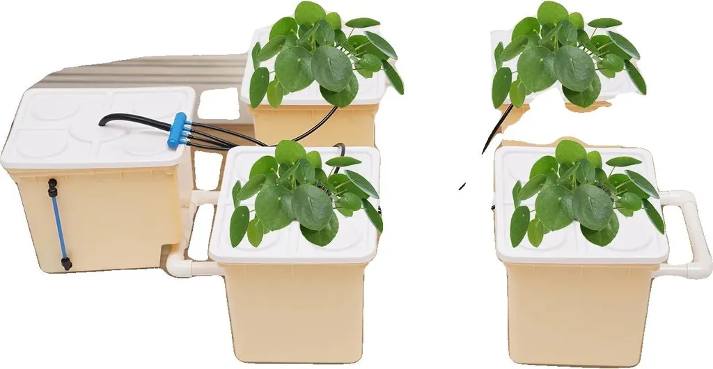 Potager hydroponique 4 seaux pour cultiver facilement vos légumes frais