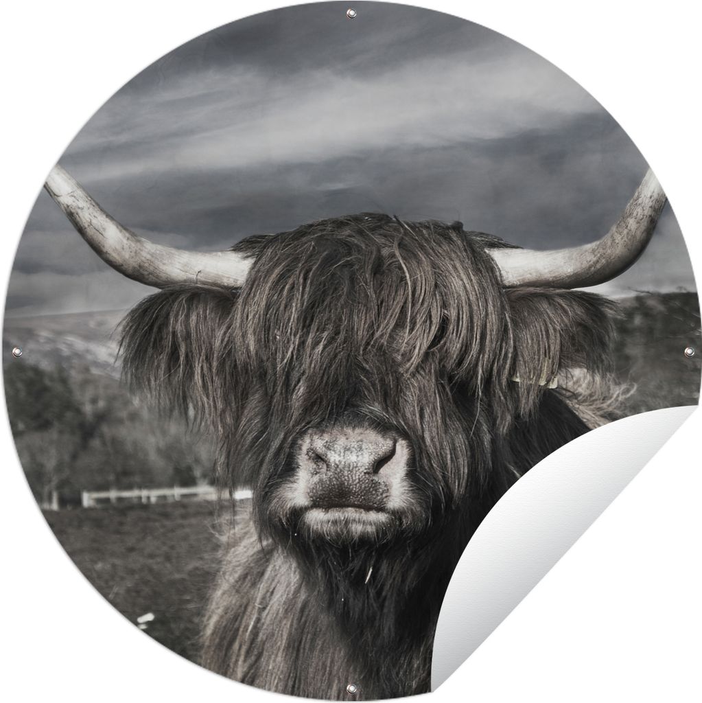 MuchoWow Gartenposter Outdoor-Poster Rund Schottischer Hochländer - Porträt - Schwarz - Weiß - Tier - Wildnis - Natur Ø 150 cm Gartendeko Run...