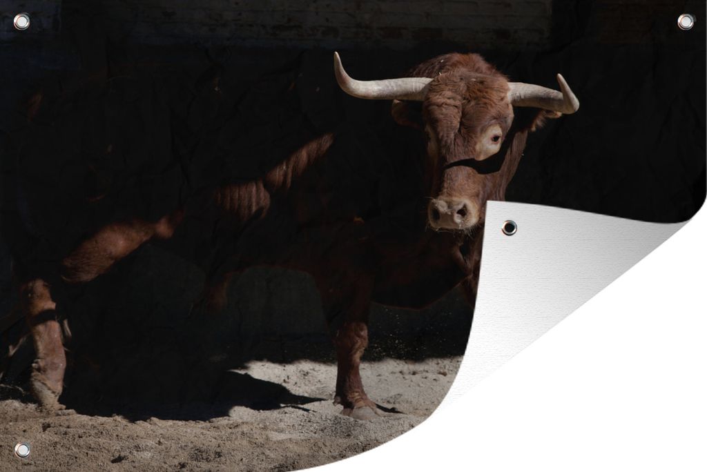 MuchoWow 120x80 cm Outdoor-Poster Gartendeko Sichtschutz Garten Poster für den Garten Ein brauner Stier vor schwarzem Hintergrund