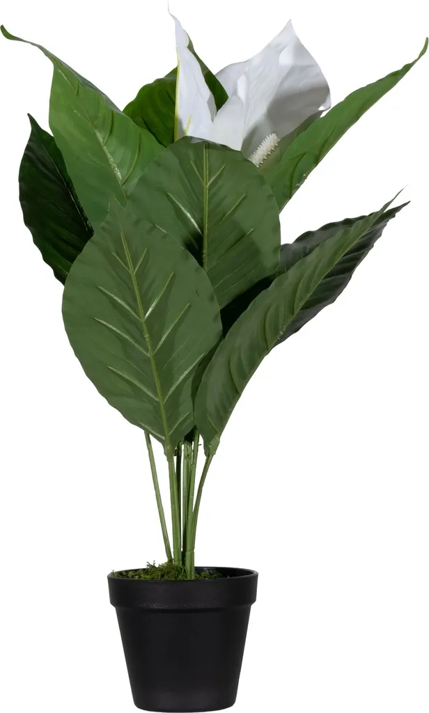 Plante artificielle mono feuille pour déco de bureau et accueil 55 cm