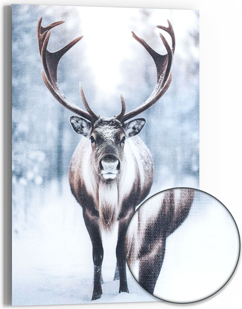 DEQORI Hybrid Leinwand Bild 60x90 cm 'Winterliche Majestät' Wandbild Glas flach modern