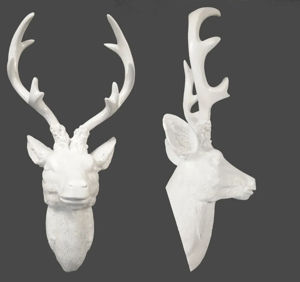 Grand bois de cerf blanc 40 cm : Mastication longue durée riche en calcium