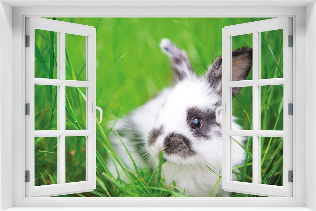 Wallario Poster mit Fenster-Illusion: Süßer Hase im grünen Gras, Größe: 61 x 91,5 cm (Maxiposter)