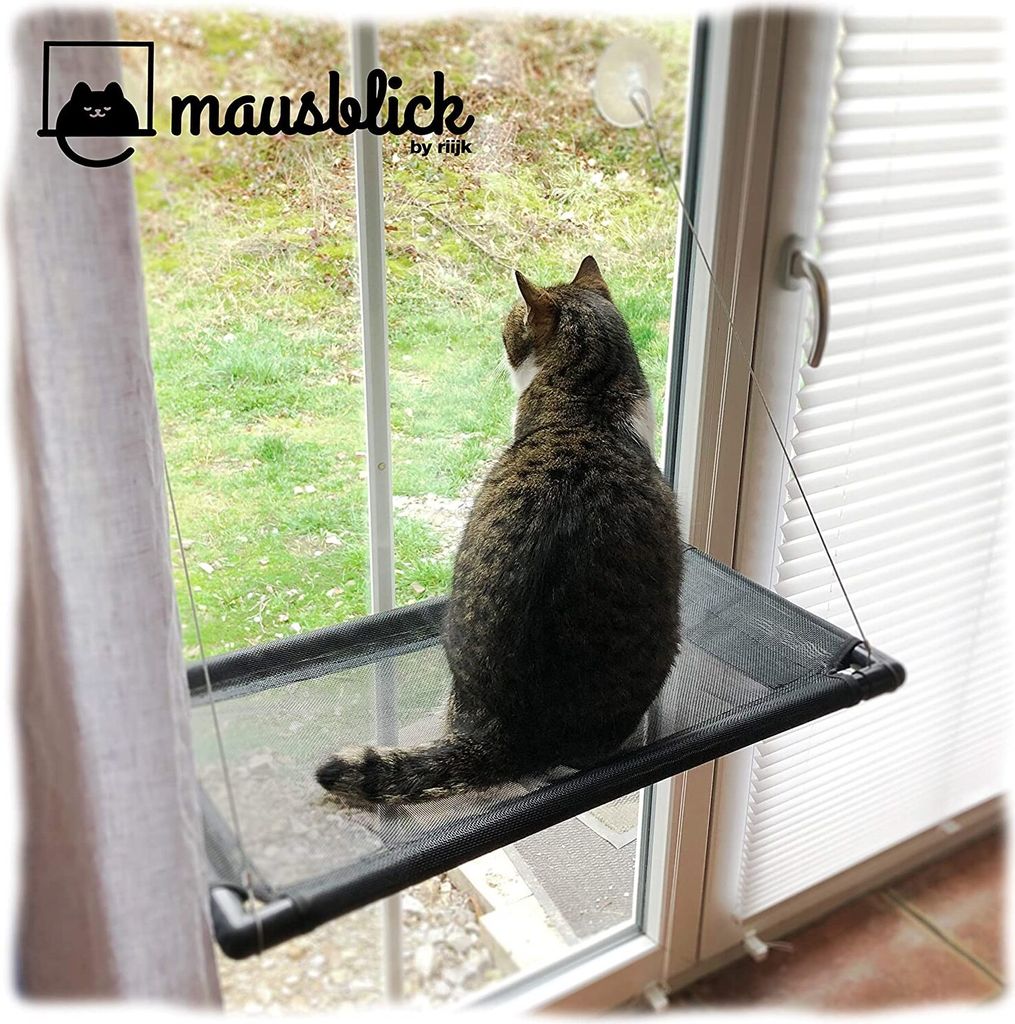 A cat is sitting on a window hammock and looking out the window.
