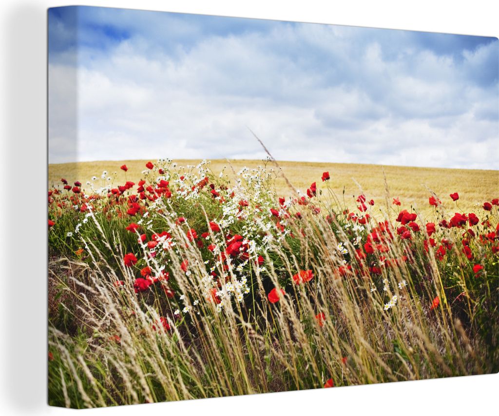 OneMillionCanvasses - Leinwandbilder - 150x100 cm, Wolken - Blumen - Rot, Wandbilder Kunstdruck Wanddekoration