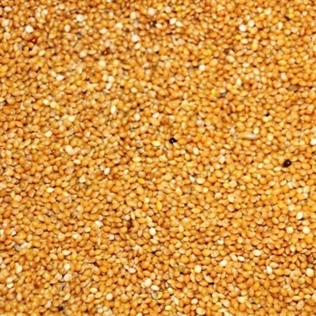 Hirse gelb 25kg Produktbild 
