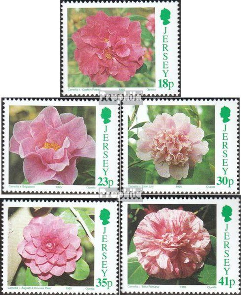 Briefmarken GB - Jersey 1995 Mi 688-692 (kompl.Ausg.) gestempelt Kamelien