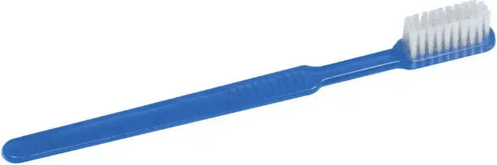 Brosse à dents manuelle jetable sans dentifrice coloris bleu - 100 unités