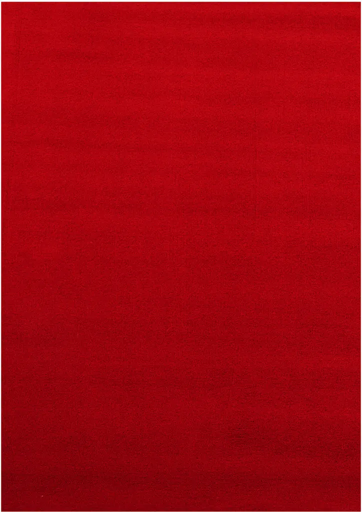Tapis de passage 80x250 cm Rouge Sky 5400 - Idéal pour protéger vos sols