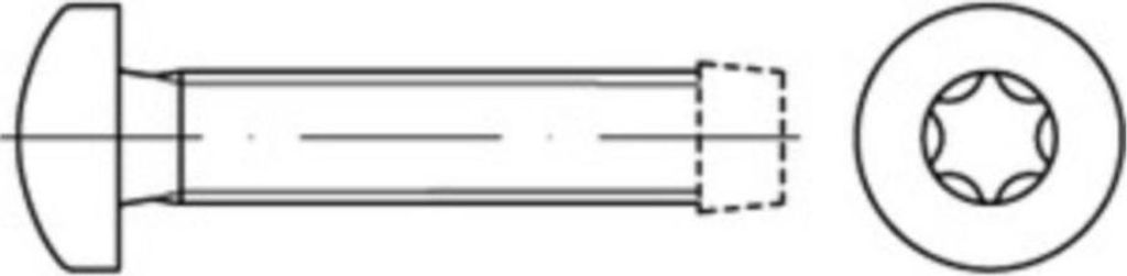 Reyher Gewindefurchende Schr. DIN 7500 gehärtet M 6x16 -T vz (500 Stück)