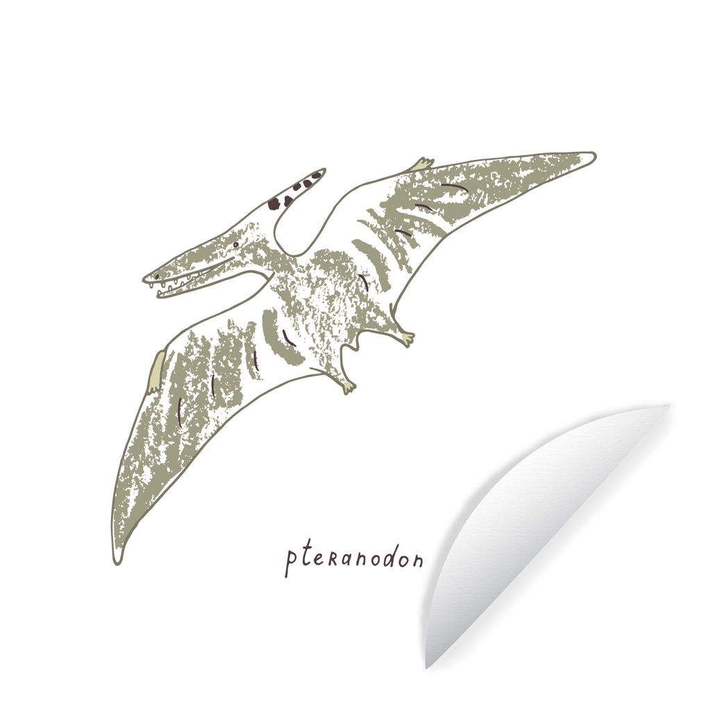 MuchoWow Runde Wandtattoo - Wandsticker Tapete Aufkleber Kinderzimmer - Pteranodon - Dinosaurier - Jungen - Mädchen - Kinder - Kinder Ø 50 cm S...