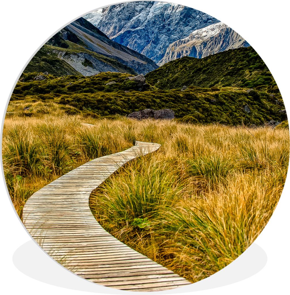 MuchoWow Rundes Wandbild - Runde Bilder Neuseeland - Kröte - Gras Ø 30 cm Kreis Wanddekoration Kunststoff - Wandkreis - Wandschmuck - Schlafzim...