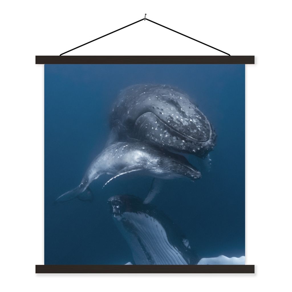 MuchoWow Textilposter Wale - Meer - Familie 40x40 cm mit schwarzem Rahmen - Fotos