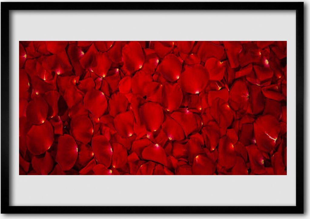 Bild 70x50 MDF-Rahmen Wandkunst Natur Blütenblätter Pflanze