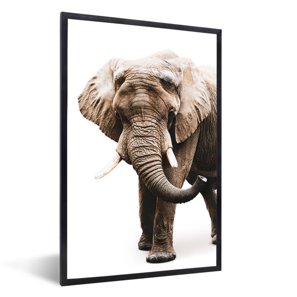MuchoWow MuchoWow Gerahmtes Poster Elefant - Weiß - Tiere 60x90 cm - Poster mit zchwarzem Bilderrahmen - Kunst