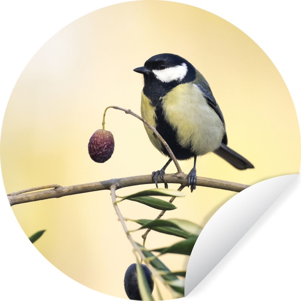 MuchoWow Runde Wandtattoo - Wandsticker Tapete Aufkleber Vogel auf einem Zweig mit einer Beere Ø 80 cm Selbstklebend und Repositionierbar - Wand...