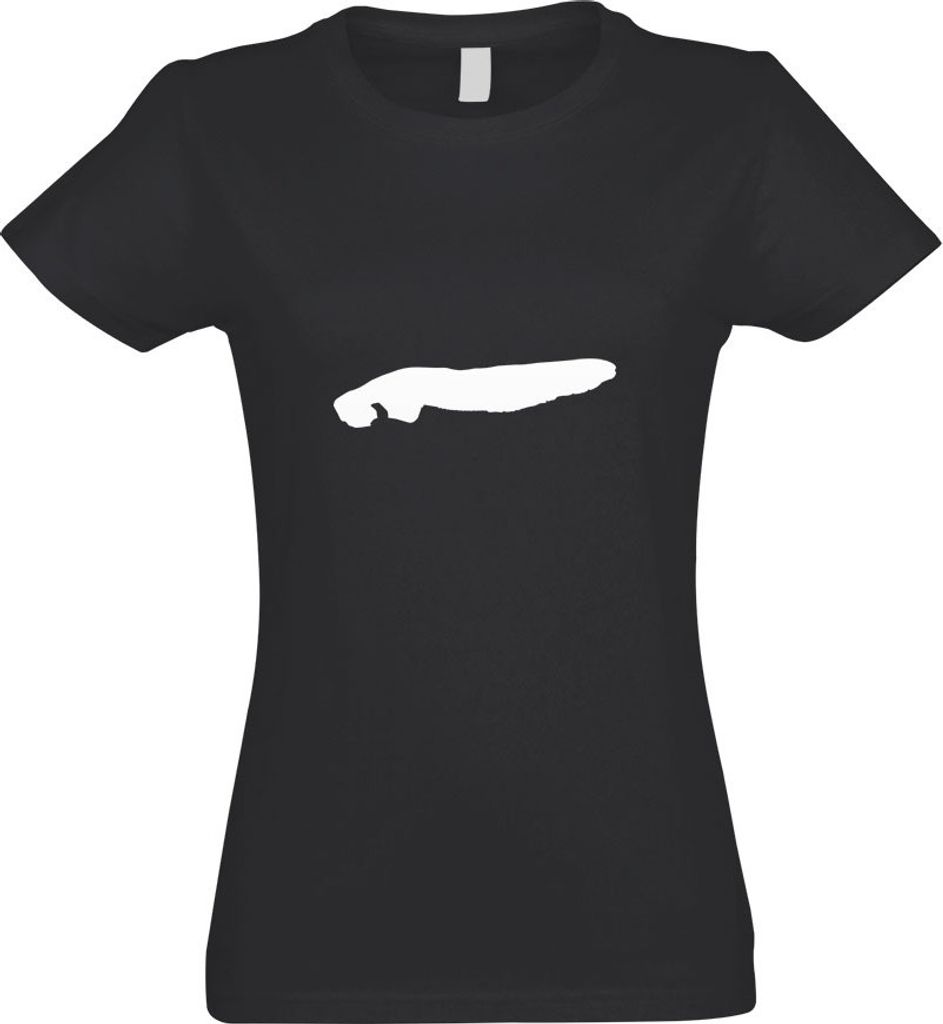 Kiwistar - T-Shirt tailliert - Damen - Graphit - Norderney - Deutschland - Insel - mit Motiv Bedruckt - Funshirt Design - Sport - Freizeit - Damen - M