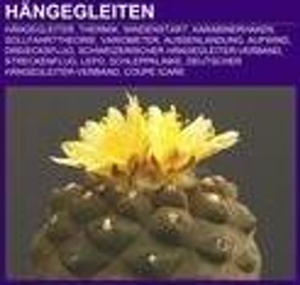 Hängegleiten