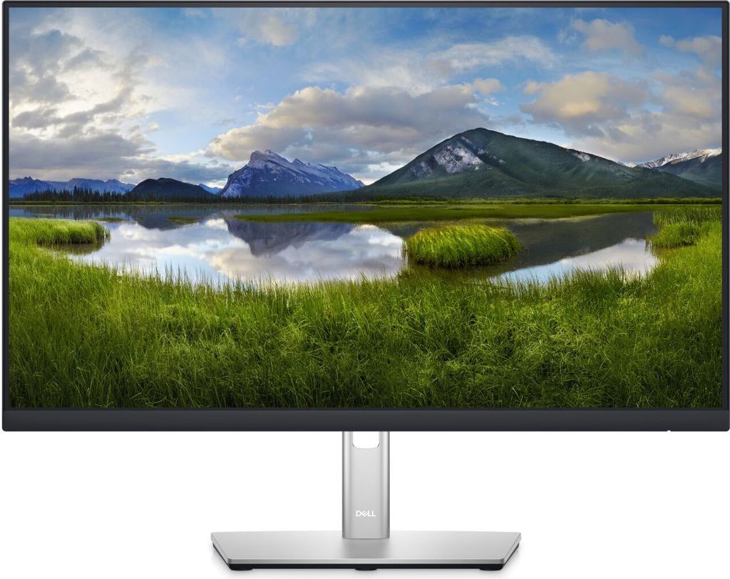 Dell P2422HE - LED-Monitor - 60.47 cm (23.8") - 1920 x 1080 Full HD (1080p)