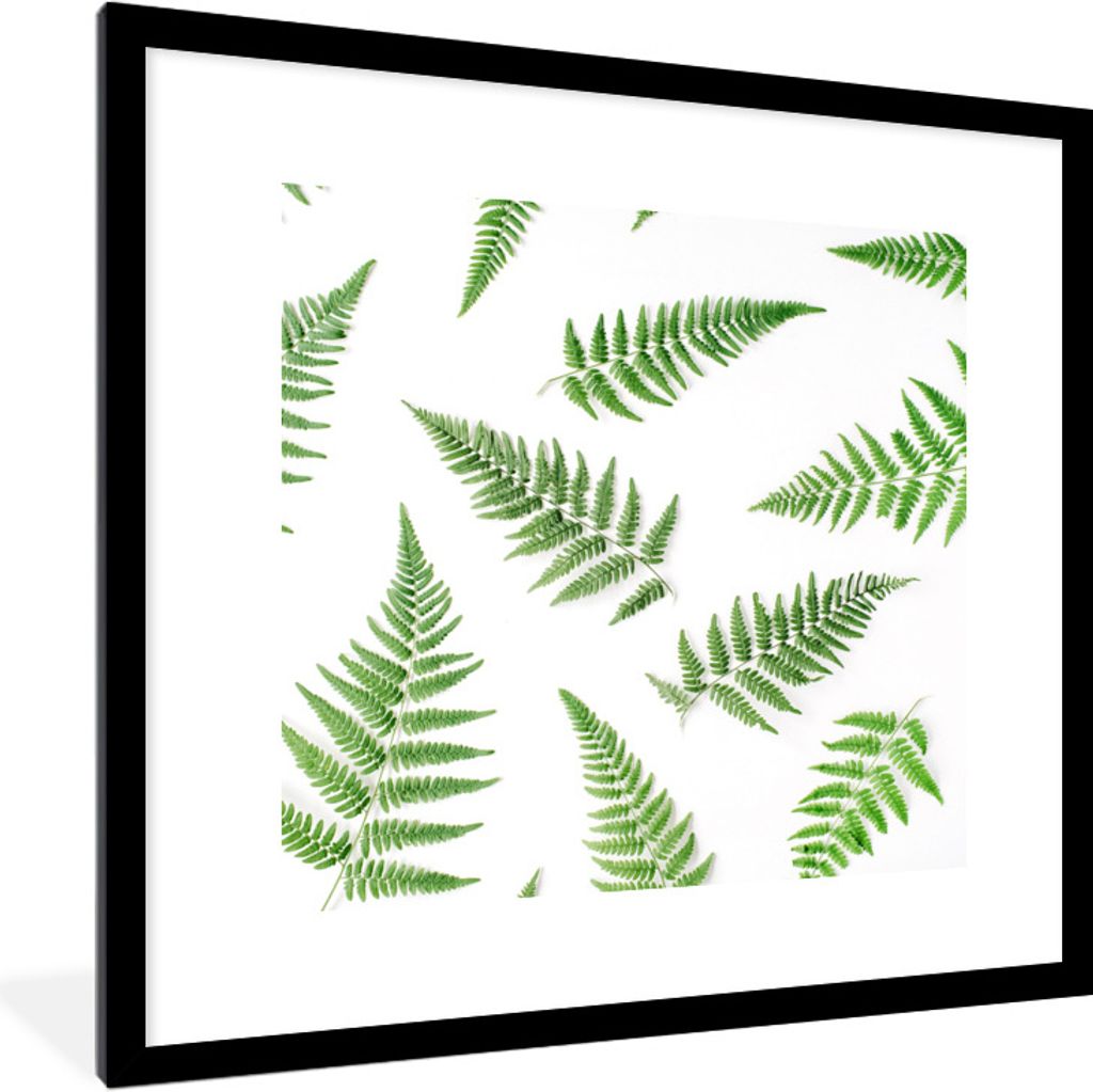 MuchoWow Gerahmtes Poster Grün - Tropisch - Farn 40x40 cm - Poster mit Schwarzem Bilderrahmen Wandposter Rahmen Foto Bilder - Poster - Plakat im...