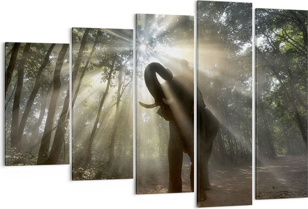 Bild auf Leinwand - Leinwandbild - Elefant Dschungel - 150x100cm - Wand Bild - Wanddeko - Leinwanddruck - Bilder - Kunstdruck - Wanddekoration - Le...