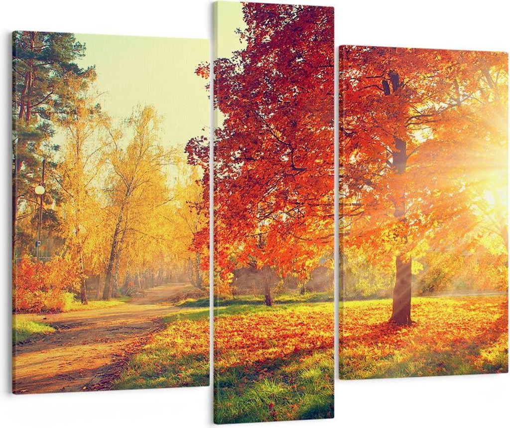 Bild auf Leinwand - Leinwandbild - Park Herbst Baum - 95x80cm - Wand Bild - Wanddeko - Wandbilder - Leinwanddruck - Bilder - Kunstdruck - Wanddekor...