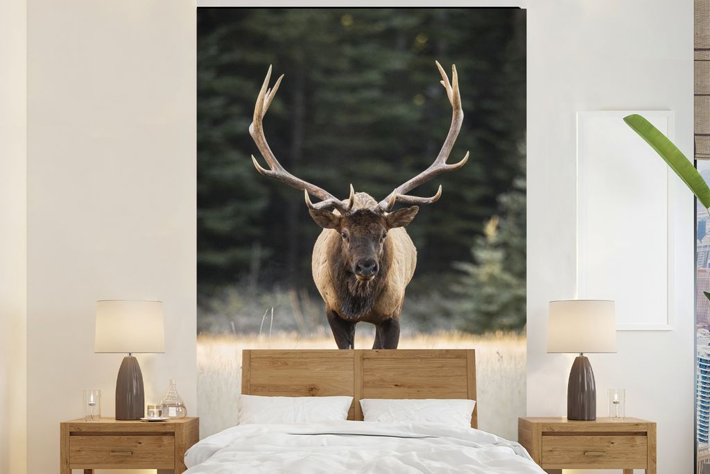 MuchoWow Fototapete für Wohnzimmer oder Schlafzimmer Wandtapete Vinyl Motivtapete Hirsch - Baum - Geweih - 225x350 cm - Schlafzimmer tapete