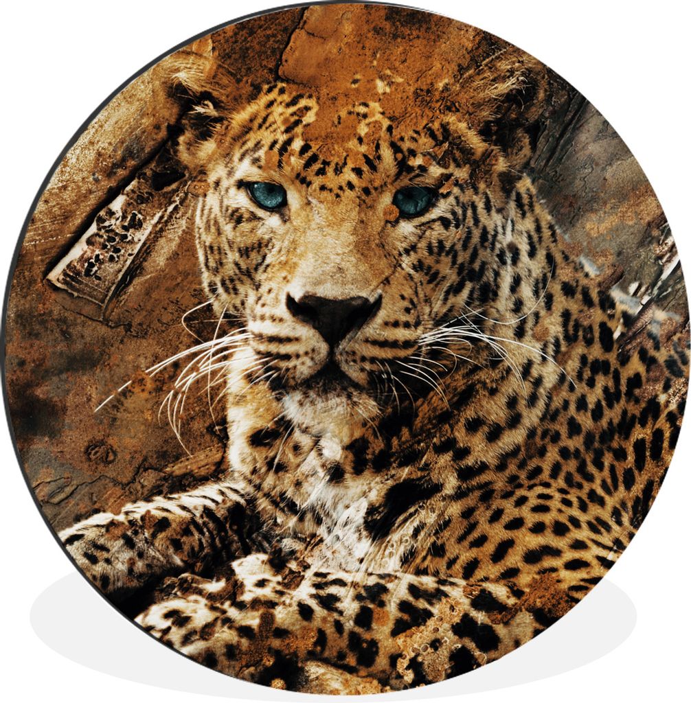 MuchoWow Aluminium Wandkreis Leopard - Tiere - Wild Ø 30 cm Wanddeko Modern Wohnzimmer - Wand Bild - Wohnzimmer - Runde Bilder - Alubilder - Kun...