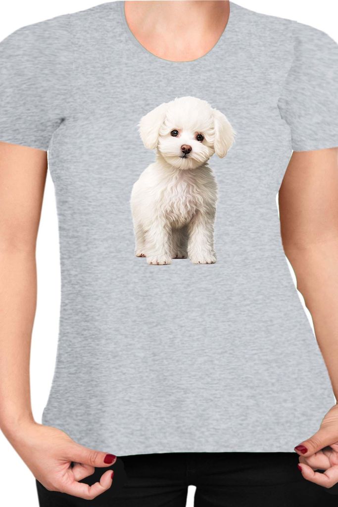 Damen T-Shirt Dogs Breeds Bichon Frise Dog Breed 006, Lady M / Grau