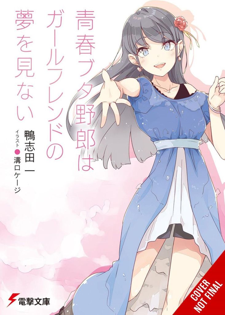 Rascal träumt nicht von seiner Freundin (Light Novel)