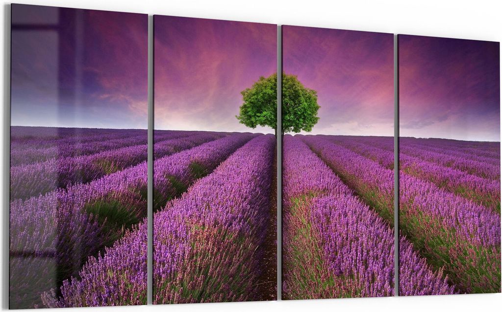 DEQORI Glasbild Echtglas 4x30x60 cm 'Baum in Lavendelreihen' Wandbilder XXL groß