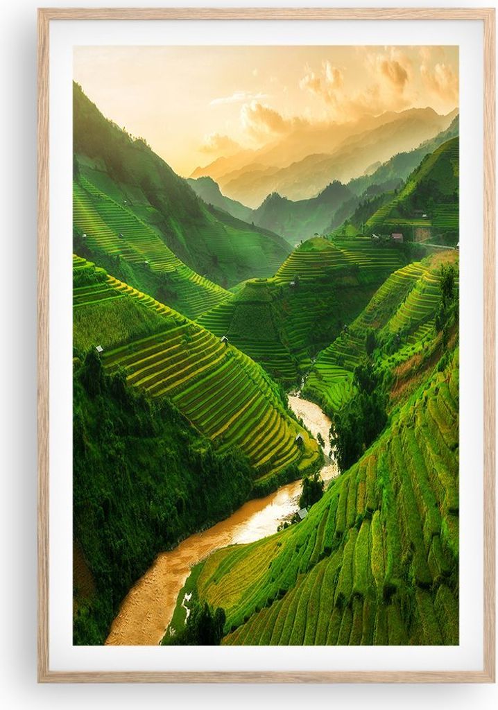 Gerahmtes Poster - Rahmen in heller Eiche - Klappe Reis Vietnam - 61x91,5 cm - Wand Bild - Wanddeko - Wandbilder - Wandposter - Bilderrahmen - Bild...