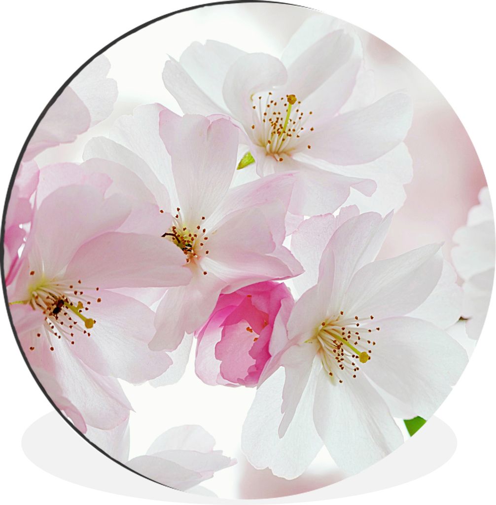 MuchoWow - Mauerkreis - Wandbilder - Runde Bild - Bild aus Aluminium - Schlafzimmer - Wohnzimmerdekoration - Wand Dekoration