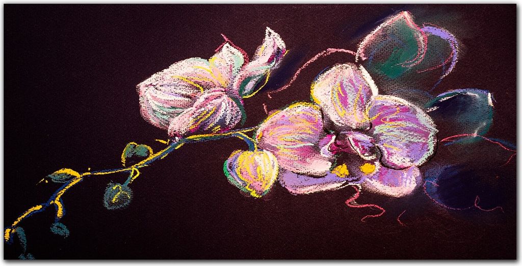 Coloray Bild aus Acryl 140 cm x 70 cm - Gehärtetes Acryl Bild auf Acrylglas Wohnzimmer Küche Dekoration Wanddekoration - Blumen Blätter