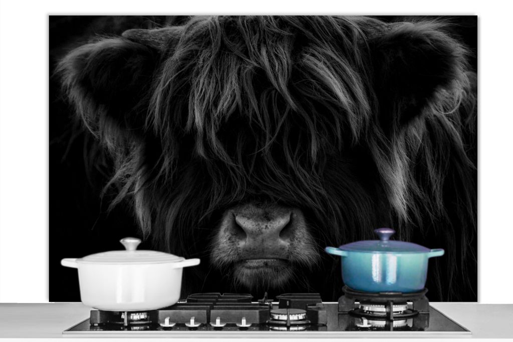 KitchenYeah Spritzschutz Küche - Küchenrückwand - Wandschutz für Herd und Spüle - Schottisches Hochlandrind - Kuh - Schwarz - Weiß - Portr...