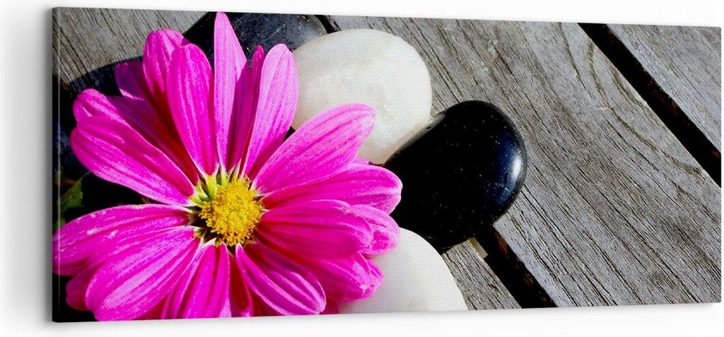 Bild auf Leinwand - Leinwandbild - Stein Blume Produktbild 