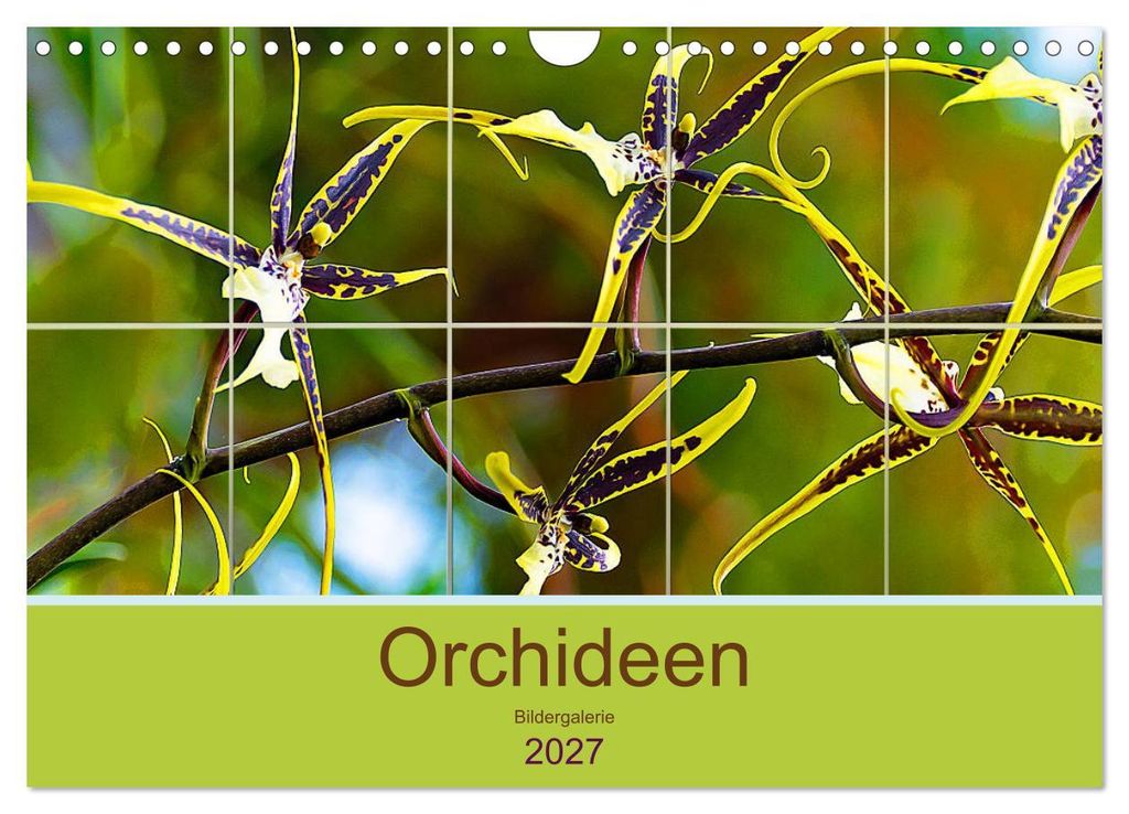 Orchideen Bildergalerie (Wandkalender 2027 DIN A4 quer), CALVENDO Monatskalender