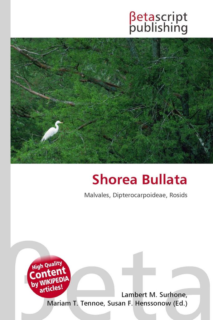 Shorea Bullata