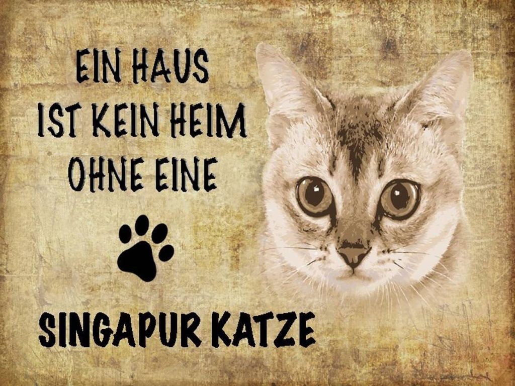 vianmo Holzschild 30x40 cm Singapur Katze ohne kein Heim