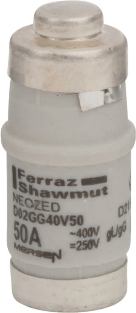 Fusible de Rechange D02 50A NEOZED pour Tableau et Armoire Électrique