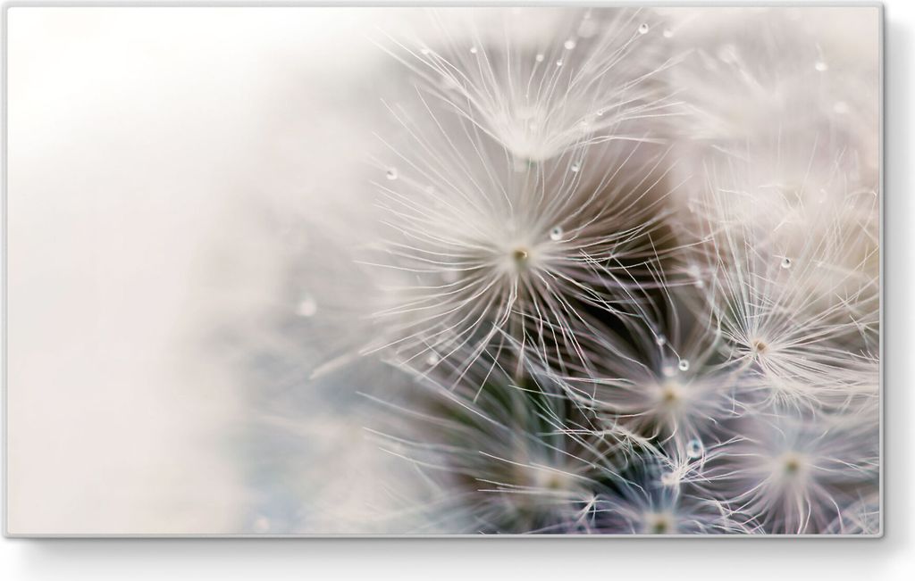 DEQORI Frühstücksbrett Glas 23x14 cm 'Detailaufnahme Pusteblume' Schneidebrett Platte