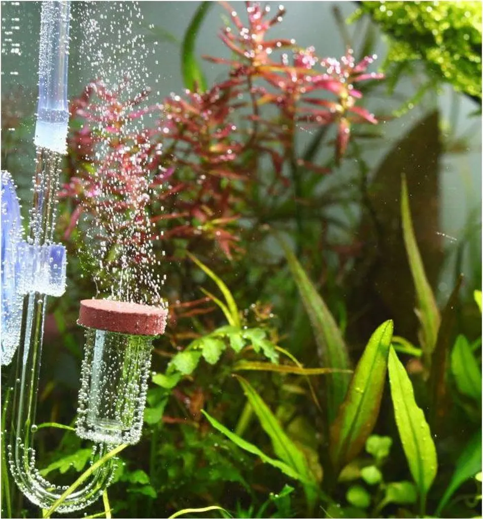 Kit CO2 pour aquarium système de fertilisation bio Neo Media complet - 8