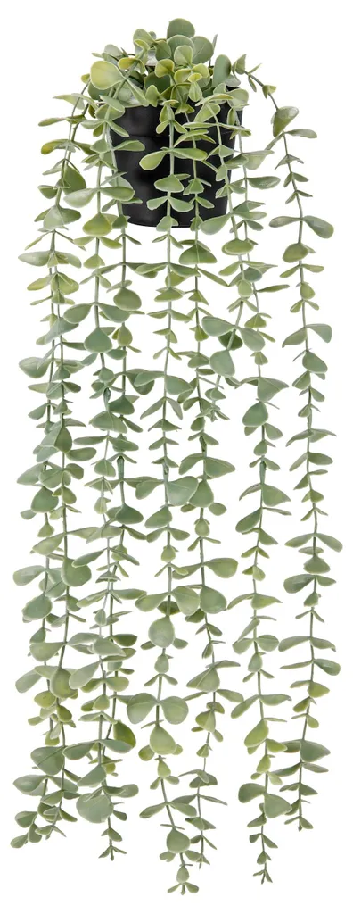 Plante artificielle suspendue en pot noir - Décoration murale réaliste