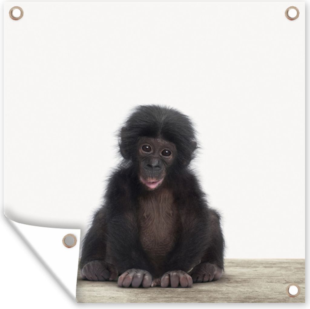 MuchoWow 50x50 cm Outdoor-Poster Gartendeko Sichtschutz Garten Poster für den Garten Tiere - Schimpanse - Baby